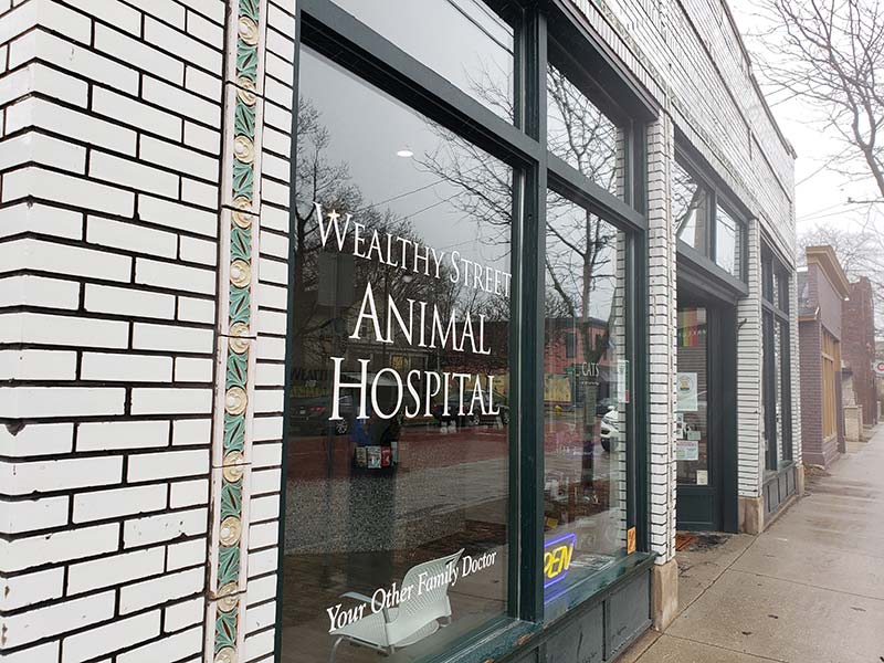 Wealthy Street Animal Hospital, Grand Rapids, MI