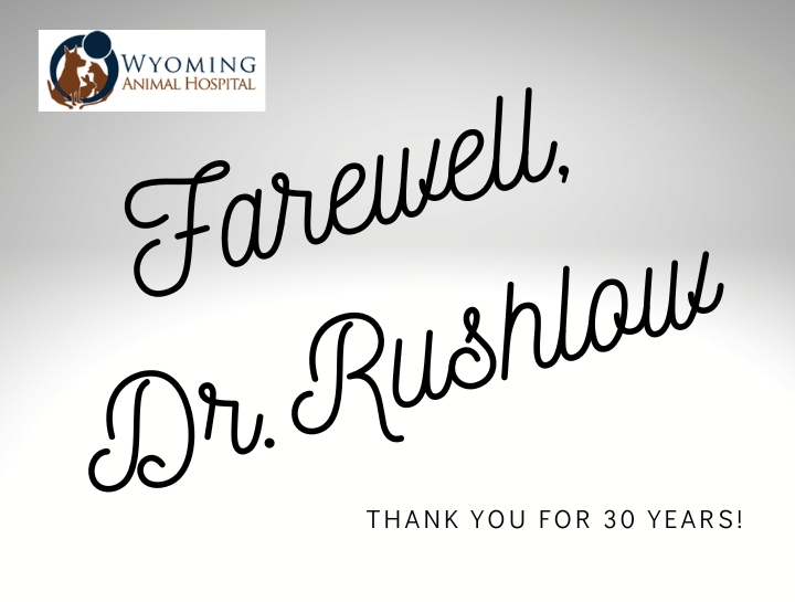 A Farewell Letter from Dr. Brian Rushlow